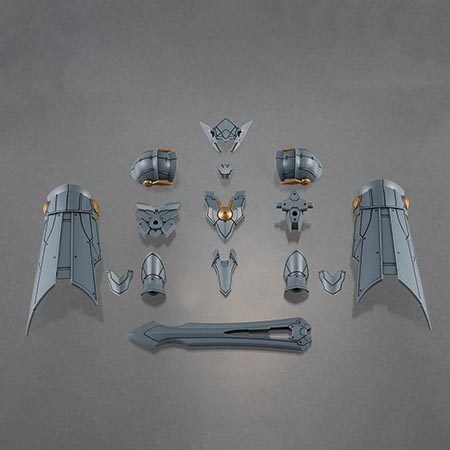 30MF クラスアップアーマー (リーベルパラディン)